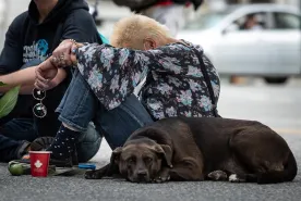 More females are dying of toxic drugs in B.C. as latest numbers released