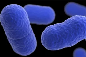 Listeria outbreak leaves California infant dead, 10 more sickened: U.S. CDC