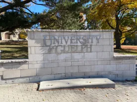 100 self-reported cases of gastroenteritis hit University of Guelph residences